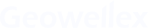 GeoWellex Logo